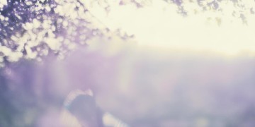 吹吹的风到底是哪首歌?