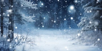 满天雪花出自哪首歌？