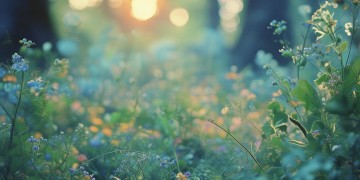 那首童话韩语歌曲究竟叫什么？