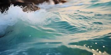 海王不可怕是哪首歌？