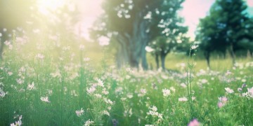 我的青春这句歌词出自什么歌？