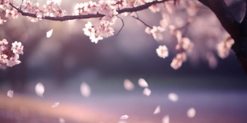 怕无归期出自哪首歌又是谁唱的？