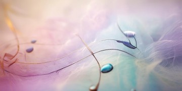 你总说我不够爱你出自哪首歌?