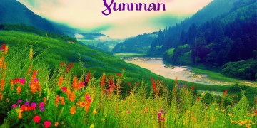 带着爸爸去云南究竟是哪首歌？