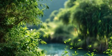 三明后生仔的曲子到底是什么歌？