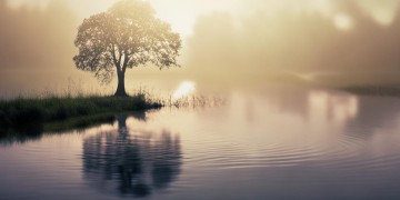 突然发现有点孤独究竟是哪首歌?