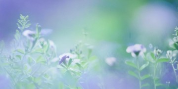 歌词里有丫头的是哪首歌？