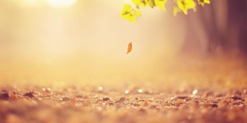 突然释怀不再执着究竟是哪首歌？