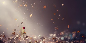 遇见错的人是教训出自哪首歌？