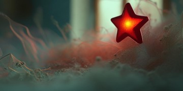小红星告诉我是哪首歌？