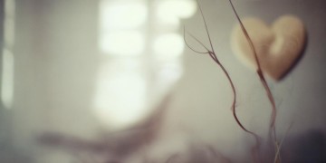 深情执着有错吗究竟是哪首歌？