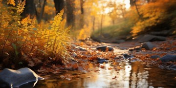 来自初秋的温暖究竟是哪首歌?