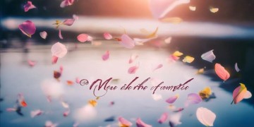 愿世界圆满出自哪首歌?