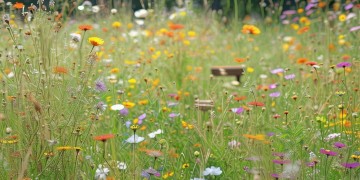 爱劳动的妞妞究竟是什么歌?