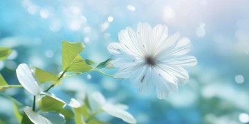 乐视手机铃声究竟是什么歌？