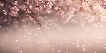 尽管我如此坚强出自哪首歌?