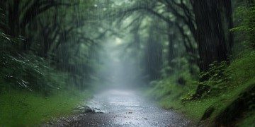 雨下得很突然这句歌词出自哪首歌？