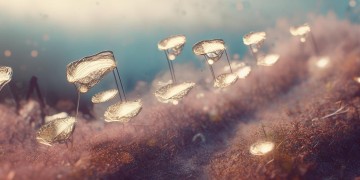 最新的5首藏歌是哪些呢？
