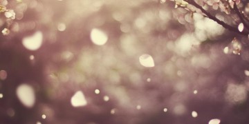 但愿你真的释怀了出自哪首歌？