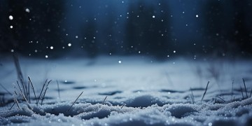 冬夜里的呼喊究竟是哪首歌？