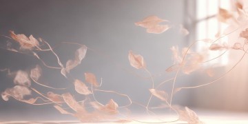 安静的灵魂究竟是哪首歌？