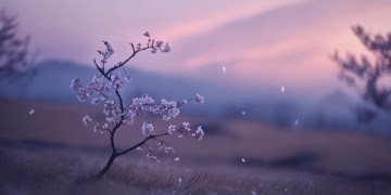 思念是淡淡的忧愁究竟是哪首歌？