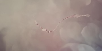 当我擦掉脸上脂粉是哪首歌？