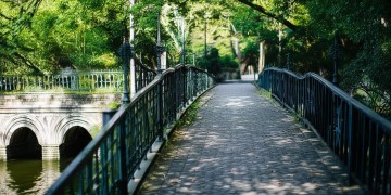 桥上又跑又跳到底是哪首歌？