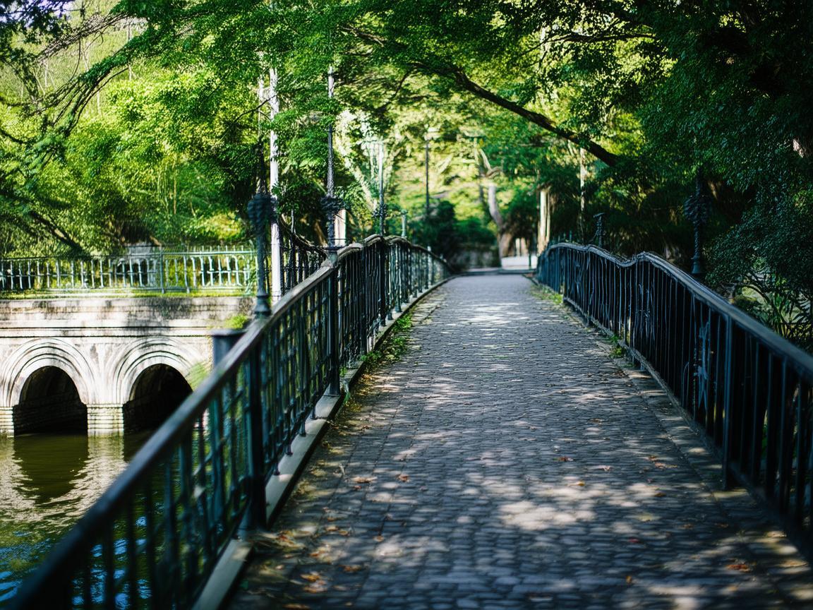 桥上又跑又跳到底是哪首歌？