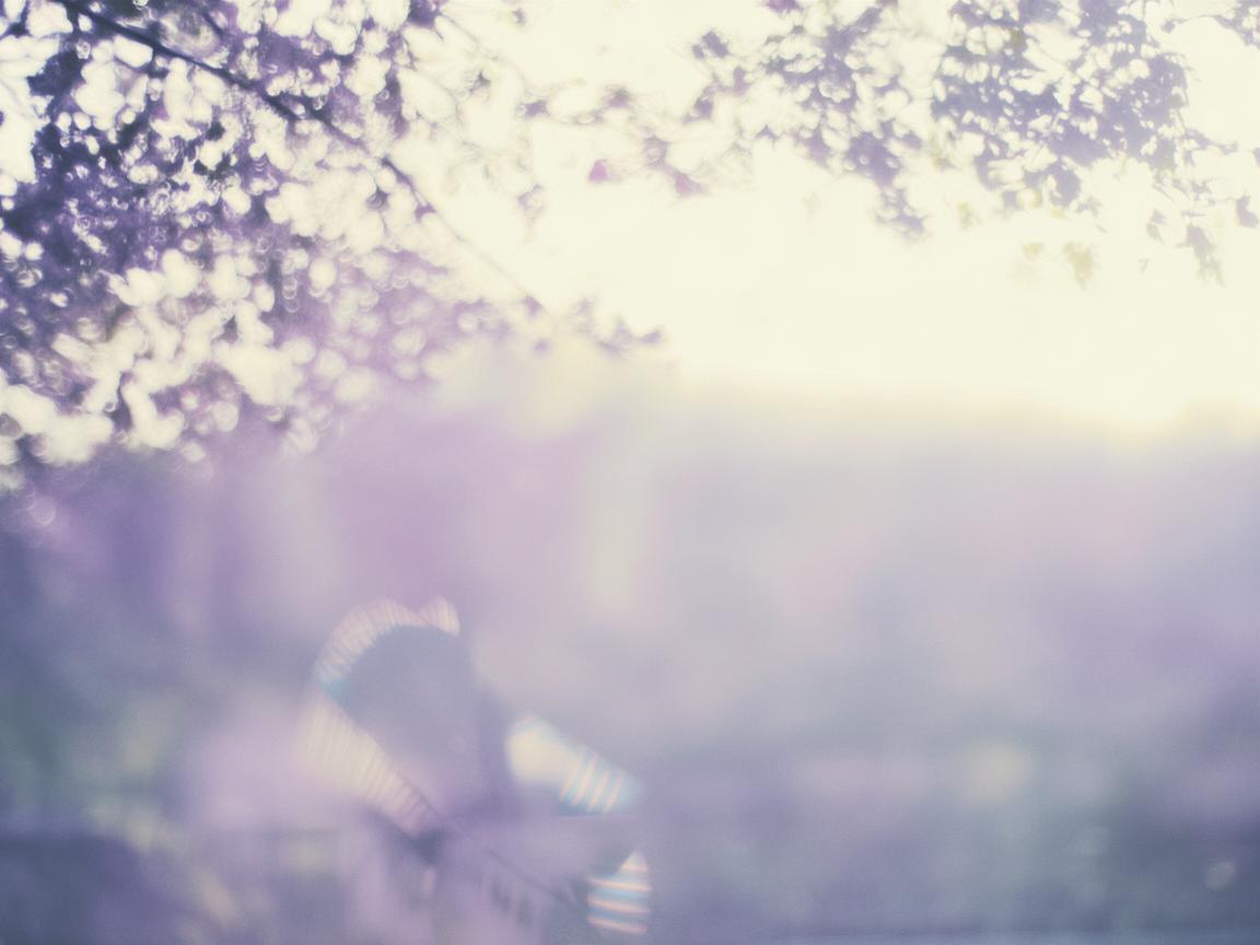 吹吹的风到底是哪首歌? 吹吹的风到底是哪首歌?