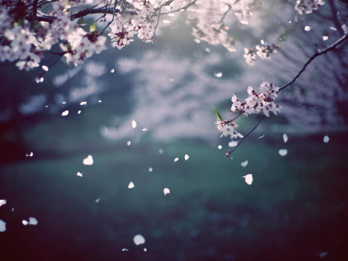 若他轻易放手这句歌词出自哪首歌? 若他轻易放手这句歌词出自哪首歌?