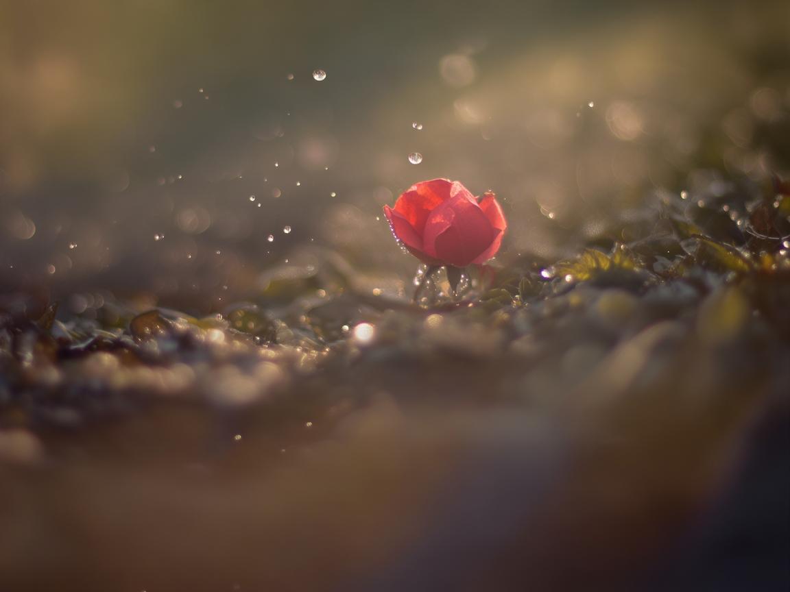 思念穿透心扉到底是哪首歌？